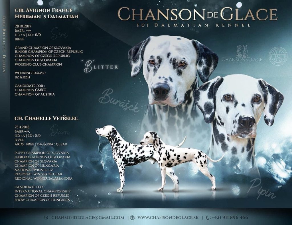 Chanson de Glace – vrh B