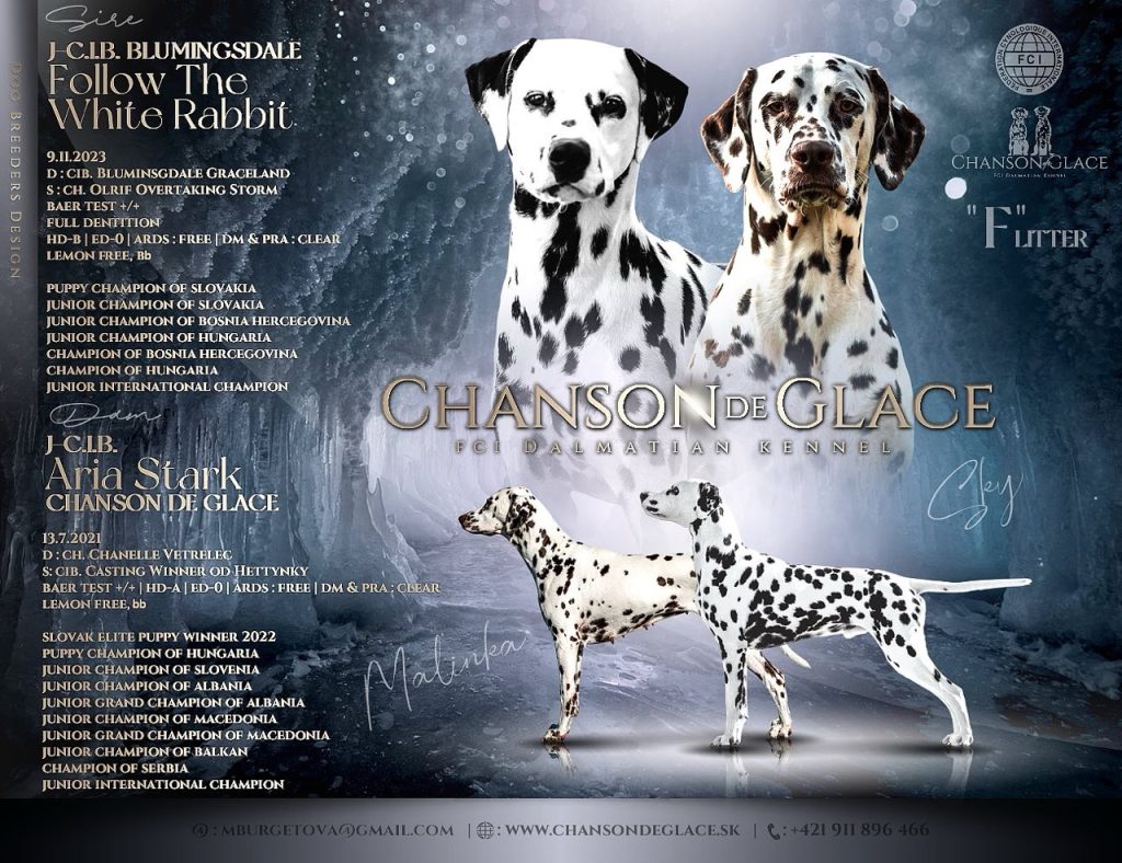 Chanson de Glace – vrh F