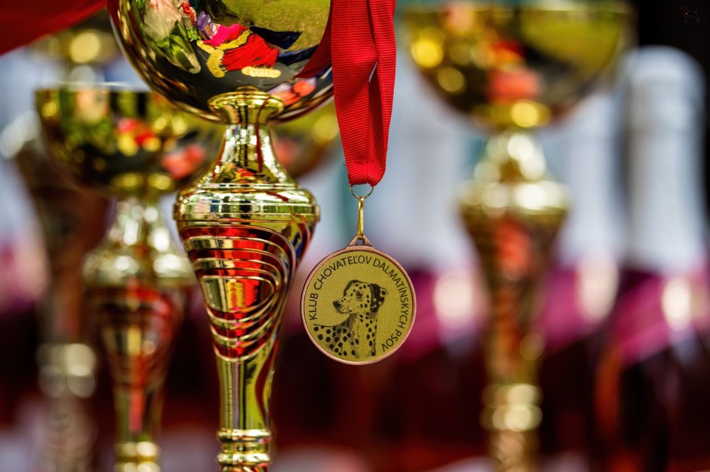 Klubová výstava 2022