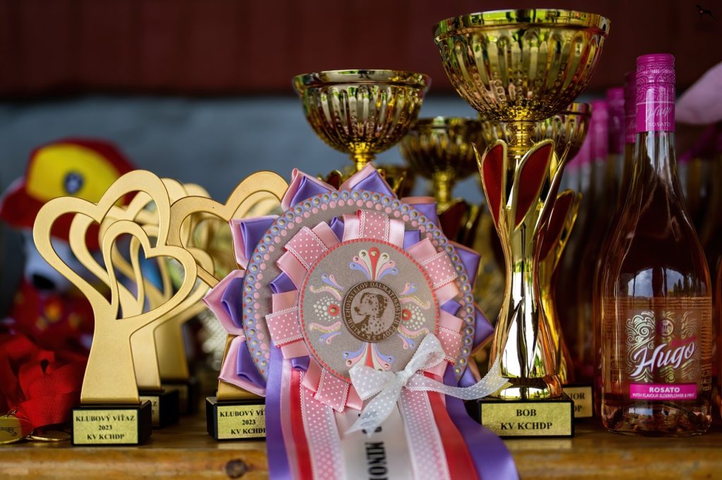 Klubová výstava 2023