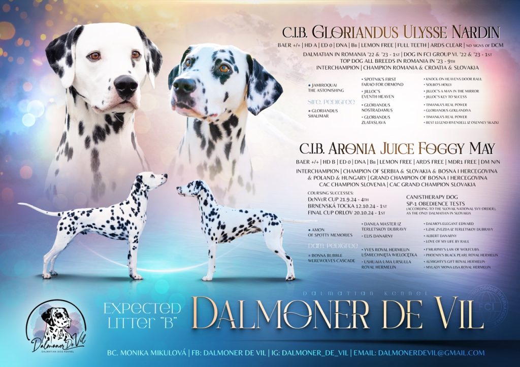 Dalmoner De Vil – vrh B