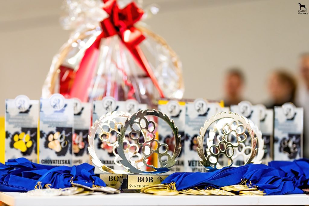 Špeciálna výstava 2023