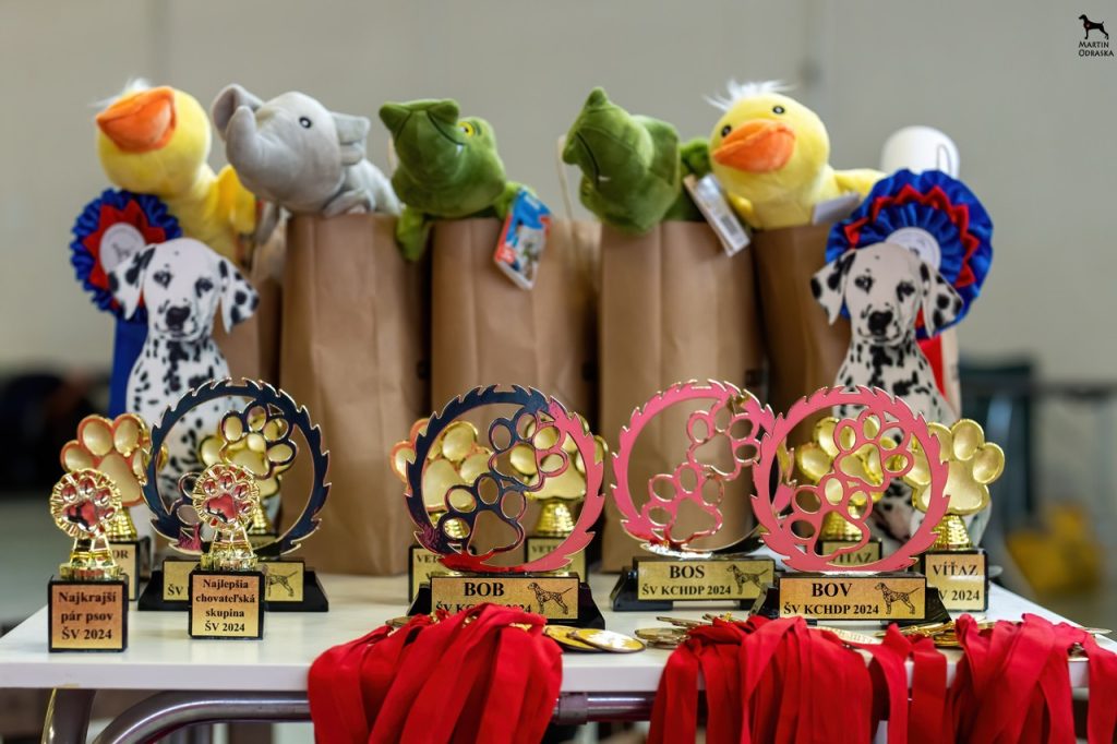 Špeciálna výstava 2024