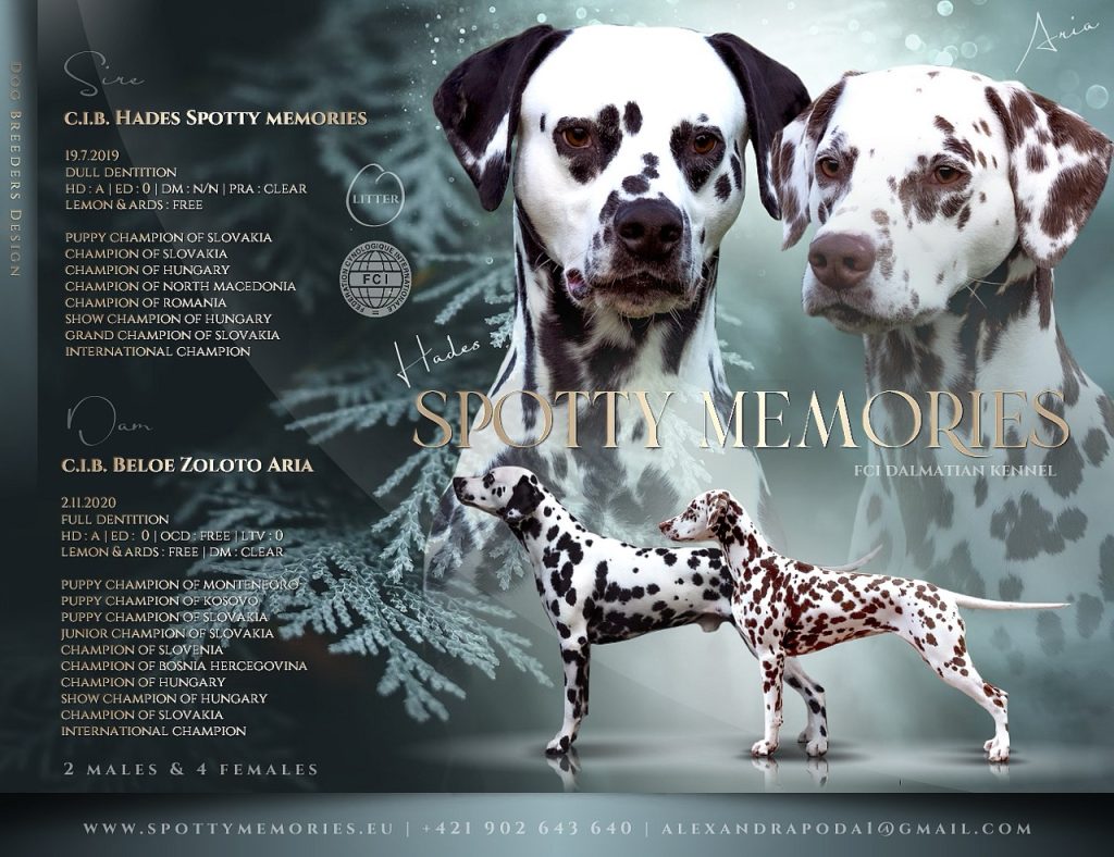 Spotty memories – vrh O