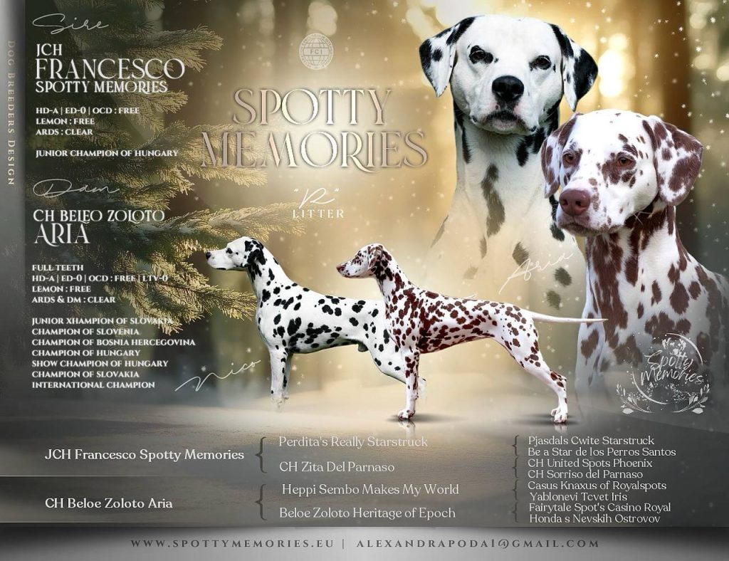 Spotty Memories – vhr R